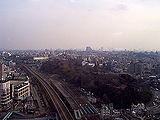 From the 15 F of Tower. Under the eyes, it is the Asuka-yama of the showplace of the cherry tree.