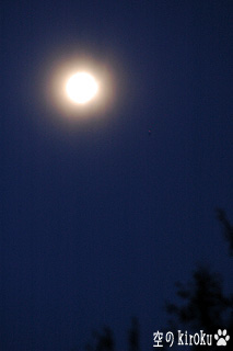 2005.4.23@PŠ