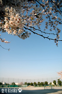 2006.3.31@wZ̍