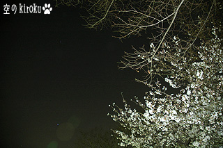 2006.3.31@~̑Op`